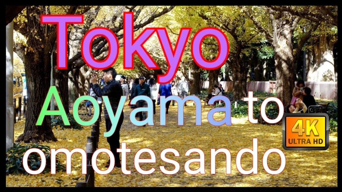 【4K】Japan Walk – Tokyo ,November 2020,#Japan #Tokyo #Kitaaoyama 北青山 to Gaiemmae to omotesando 【4K】Japan Walk - Tokyo ,November 2020,#Japan #Tokyo #Kitaaoyama 北青山 to Gaiemmae to omotesando