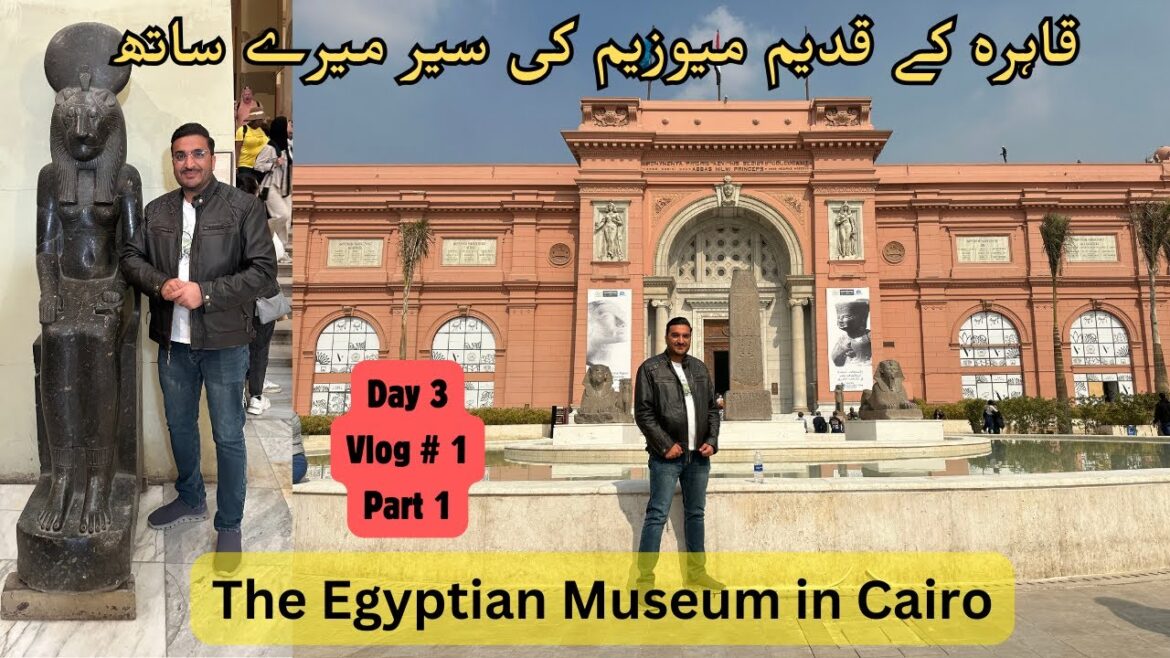 The Egyptian Museum in Cairo I Part  1 I Day 3 @travelwithtayyab1335