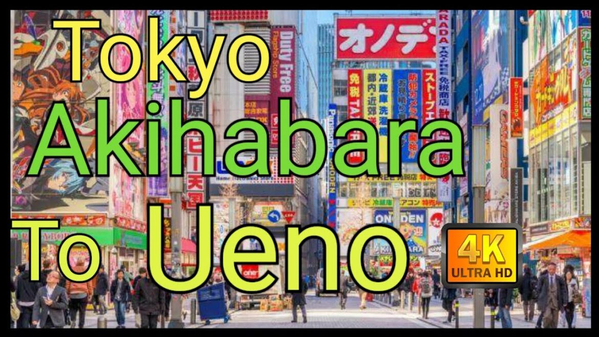 【4K】Tokyo Evening Walk, Akihabara to Ueno, November 2020 #Japan#tokyo#Akihabara#Ueno