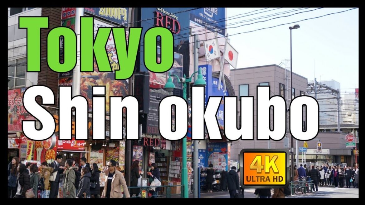 【4K】why many cute girls come to shin okubo on weekends