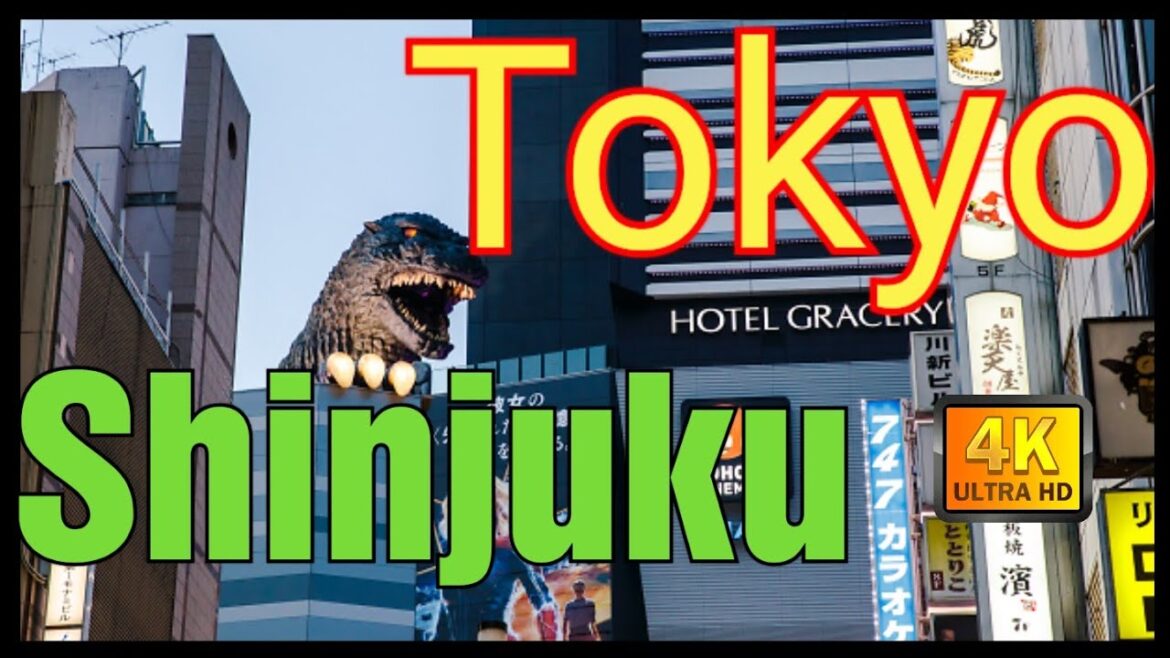 【4K】Tokyo Evening Walk, TOHO Cinemas to Shinjuku Station South ,My first walk with Osmo pocket 2 【4K】Tokyo Evening Walk, TOHO Cinemas to Shinjuku Station South ,My first walk with Osmo pocket 2