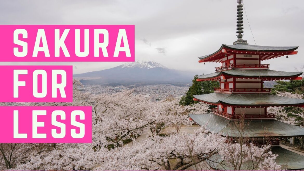 How to BOOK CHEAP FLIGHTS to Japan | Travel Insider Hack