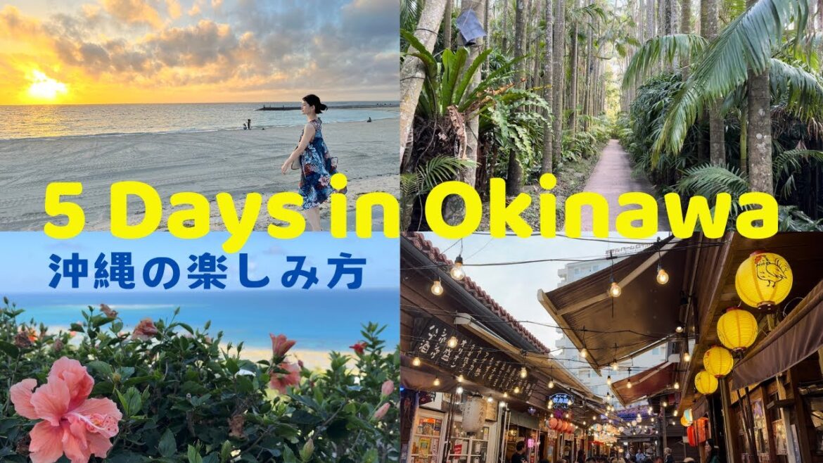 [SUB] 5 Days in Okinawa! Places to Visit- Beach, Sunset, Cuisine, Cafe & Capybara! Japan Travel Vlog