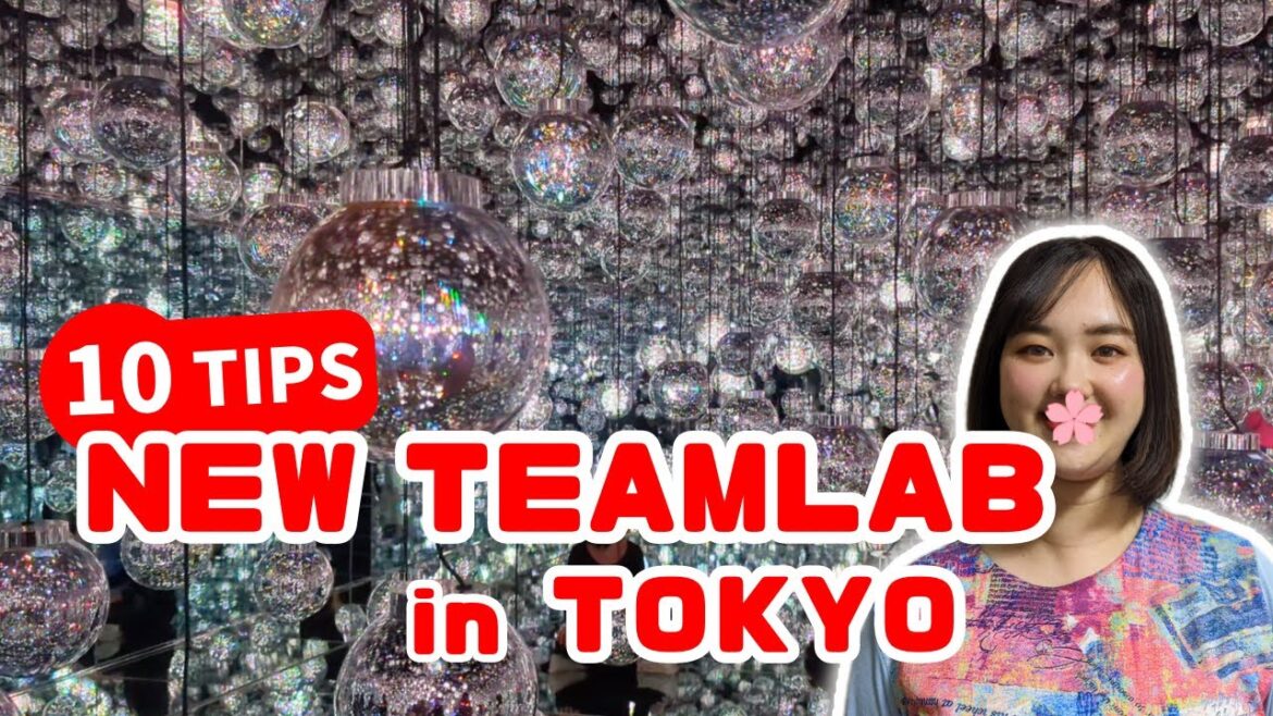 10 New Things to Know Before Traveling to TeamLab Borderless in Azabudai Tokyo 2024 10 New Things to Know Before Traveling to TeamLab Borderless in Azabudai Tokyo 2024