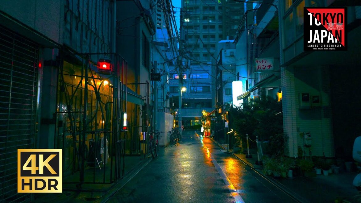 [4K HDR | Tokyo] Rainy Naka Meguro Walk | 雨の中目黒 散歩