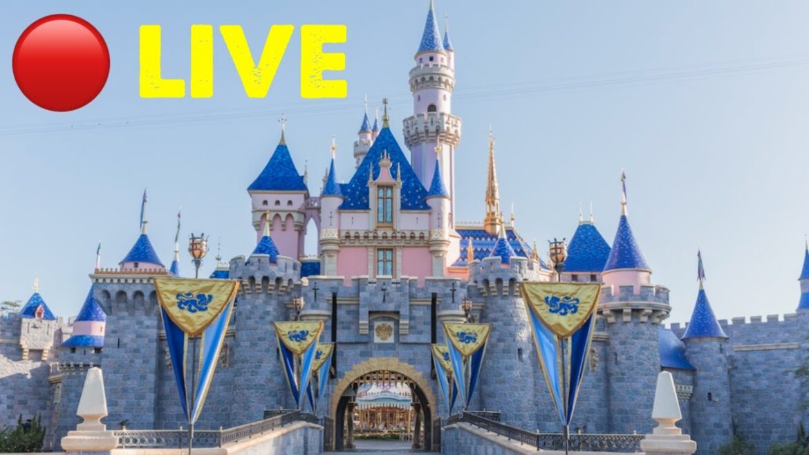 🔴 Disneyland LIVE | Disney Fun, Rides, Food, Merchandise, Tuesday 2024