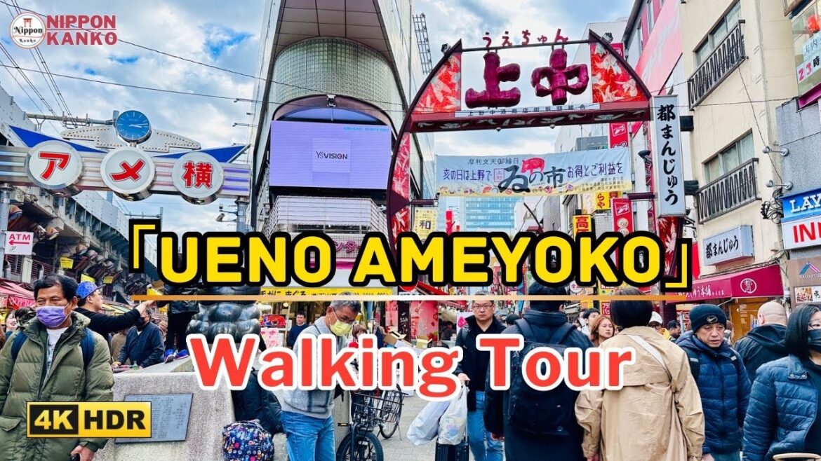 Tokyo’s Most Popular Street Food Market | Ueno Ameyoko Shopping Street | アメ横商店街散歩 4K HDR Tokyo’s Most Popular Street Food Market | Ueno Ameyoko Shopping Street | アメ横商店街散歩 4K HDR