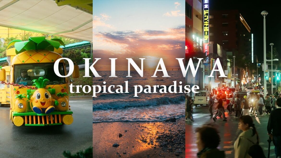 Our trip to OKINAWA! | Travel VLOG