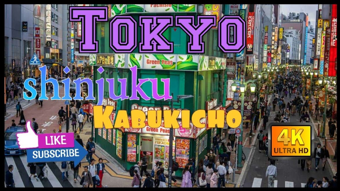 Shinjuku , a short walk around Kabukicho. Shinjuku , a short walk around Kabukicho.