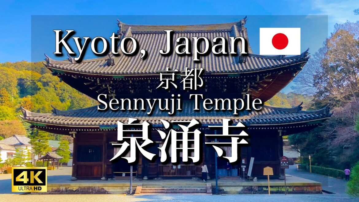 Sennyuji Temple in Kyoto, Japan | Travel Guide to Kyoto [4K]