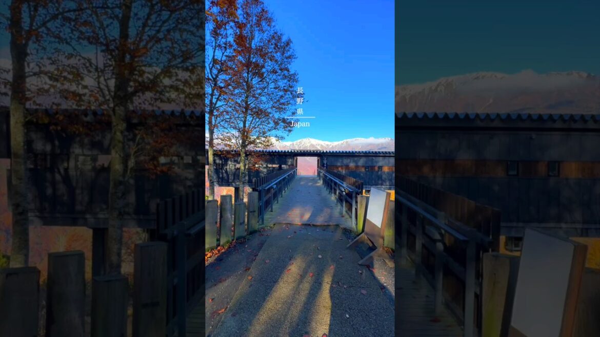 The mountain Harbor| Nagano Prefecture | Hakuba | #travel #vlog #shorts The mountain Harbor| Nagano Prefecture | Hakuba | #travel #vlog #shorts