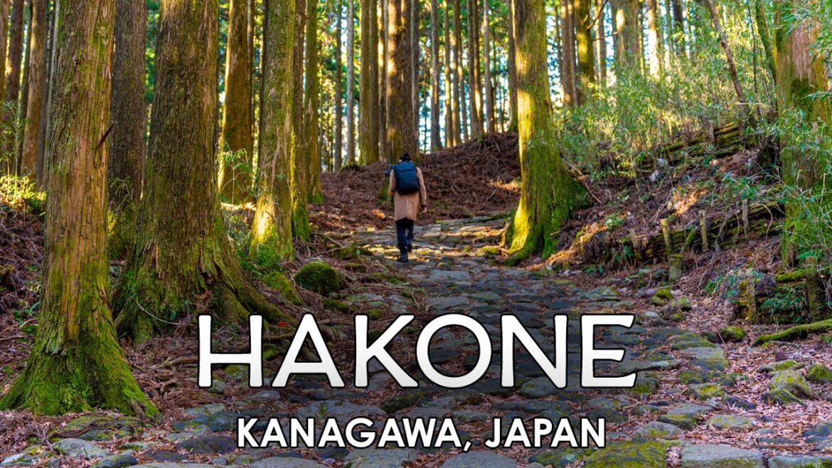 Walking through Ancient Japan: Old Tokaido Road to Motohakone 【4K Relaxing Nature Ambience】 Walking through Ancient Japan: Old Tokaido Road to Motohakone 【4K Relaxing Nature Ambience】
