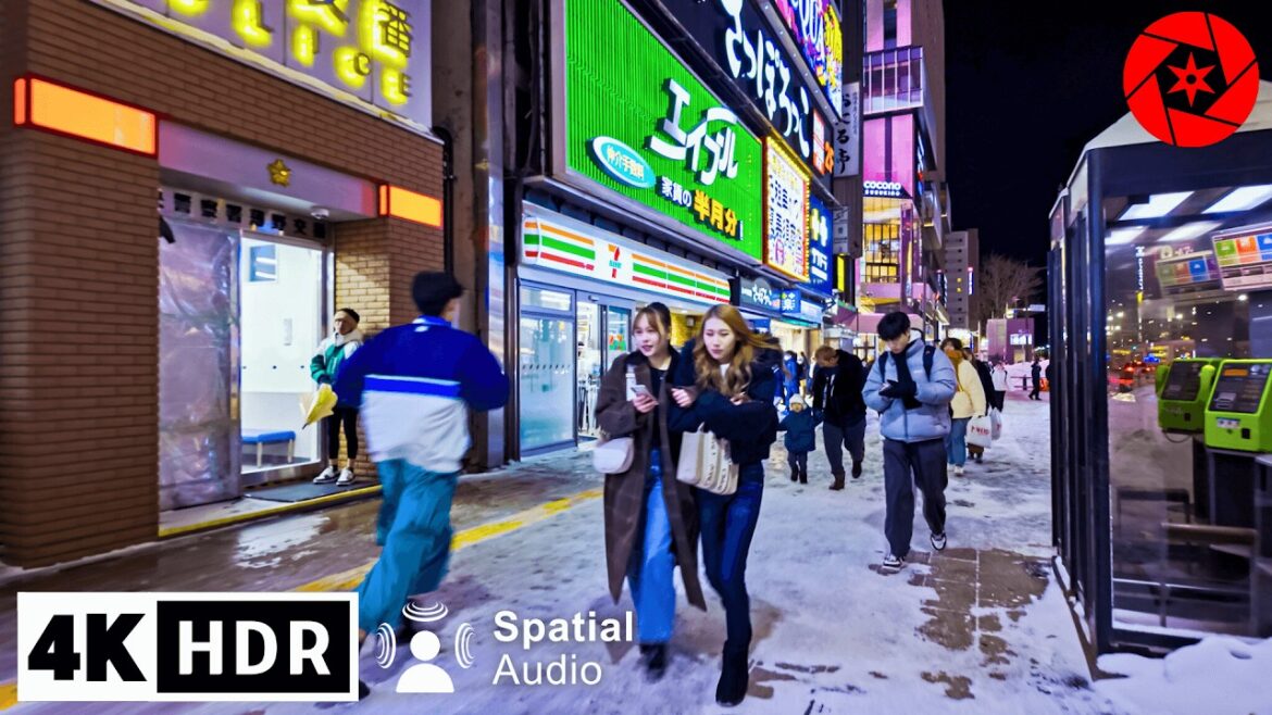 Exploring Sapporo's Underground & Red Light District // 4K HDR Spatial Audio