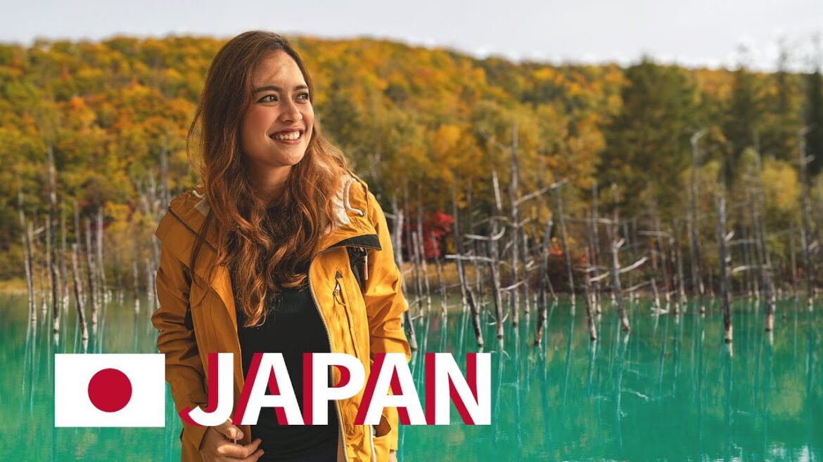 Beautiful Japanese Village in the Countryside - Rural Japan in Autumn