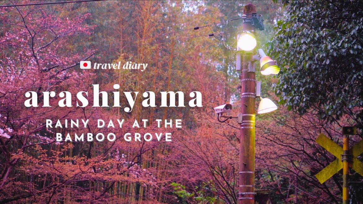 Rainy day in Arashiyama, Japan ☔🎋 Relaxing Kyoto bamboo grove #SlowTravelDiaries in Japan 🇯🇵 – pt. 3