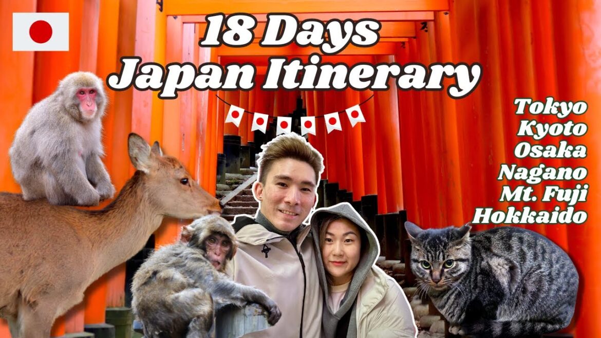Japan Itinerary | How we spent 18 Days Blog in Tokyo, Osaka, Nagano, Mount Fuji, Kyoto, Hokkaido