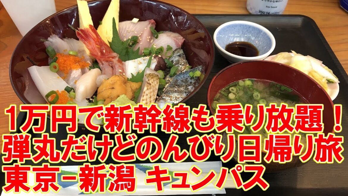 1万円で新幹線も乗り放題！キュンパス 東京 新潟 弾丸だけどのんびり日帰り旅 海鮮丼 白山神社 ピアBandai ばかうけ展望室 北陸応援割 Niigata,Travel #キュンパス