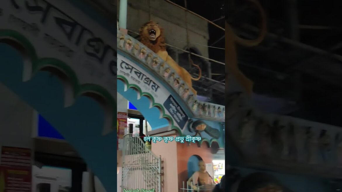 কৃষ্ণ বিনা কেহ নাই 🙏এক ভিডিওতে পুরো কৃষ্ণ দর্শন মায়াপুরের ✨বল কৃষ্ণ কৃষ্ণ রাধে রাধে #krishna #radha