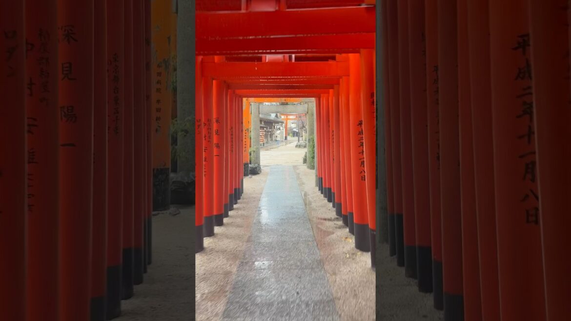 Kushida Shrine in Fukuoka, JAPAN 🇯🇵#travel #japan #asia #zen