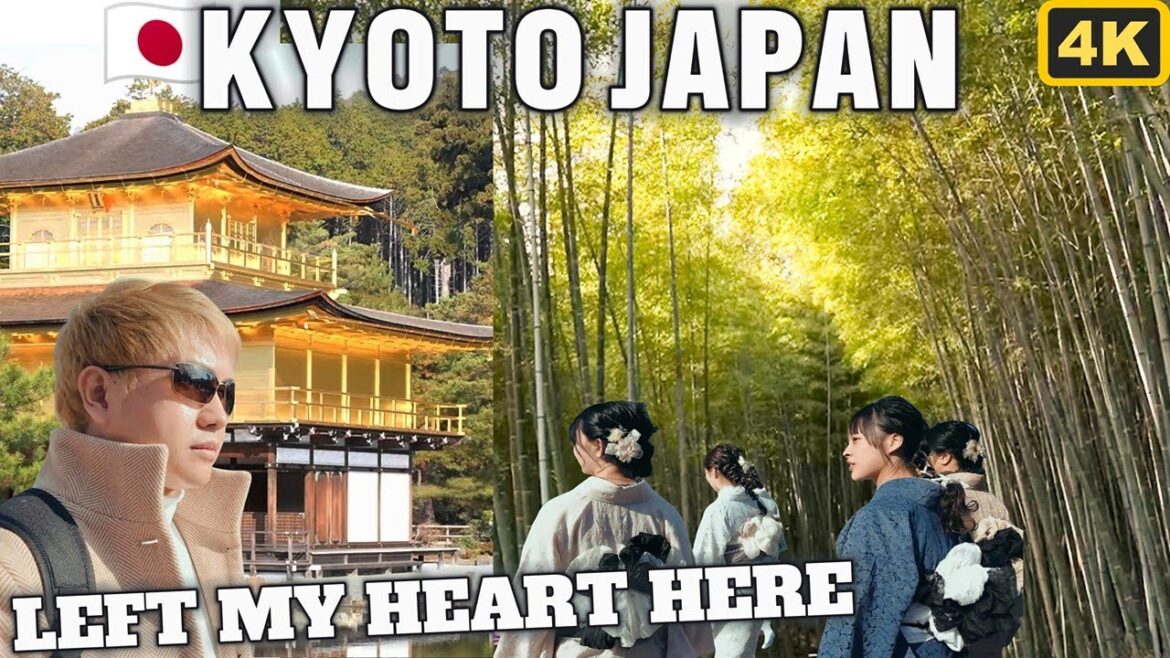 Kyoto | Arashiyama Bamboo Forest | Golden Temple | Travel Guide | Itinerary Kyoto | Arashiyama Bamboo Forest | Golden Temple | Travel Guide | Itinerary