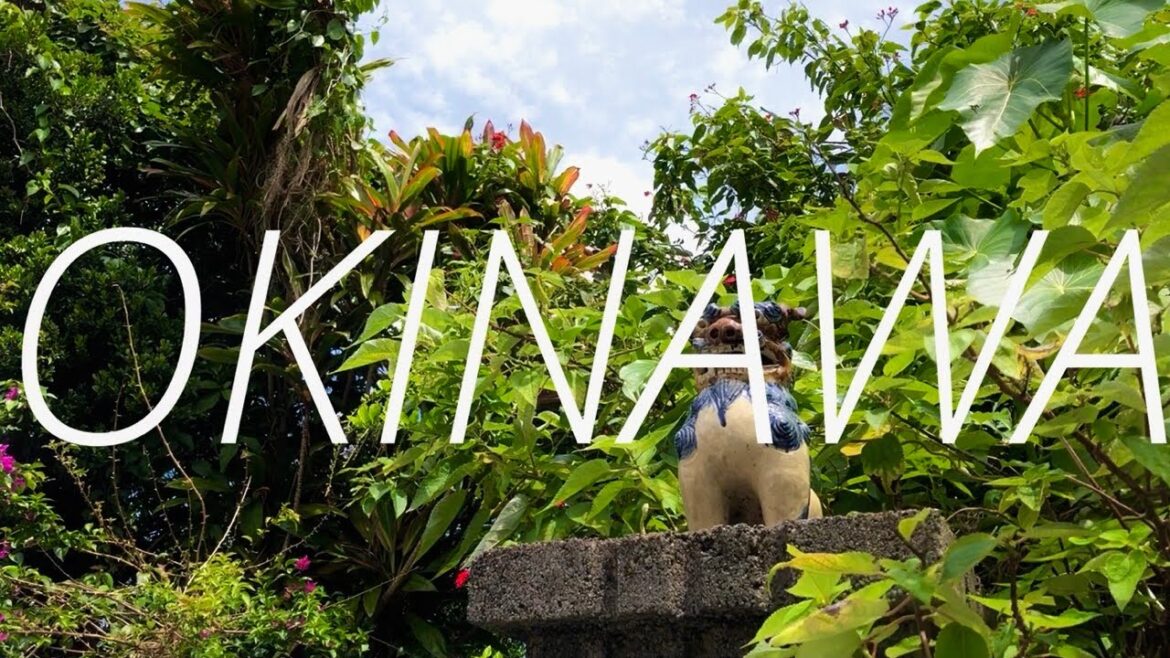 Okinawa Vlog - Naha, Yomitan, Okinawa Churaumi Aquarium - Weekly Vlog