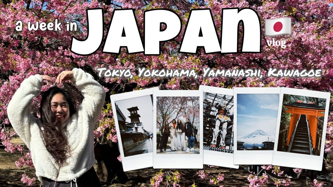 vlog ✿ a week in Japan 🇯🇵 tokyo, gundam factory, mt. fuji, kawagoe 🍜 konbini & ramen eats 🌸 Feb 2024