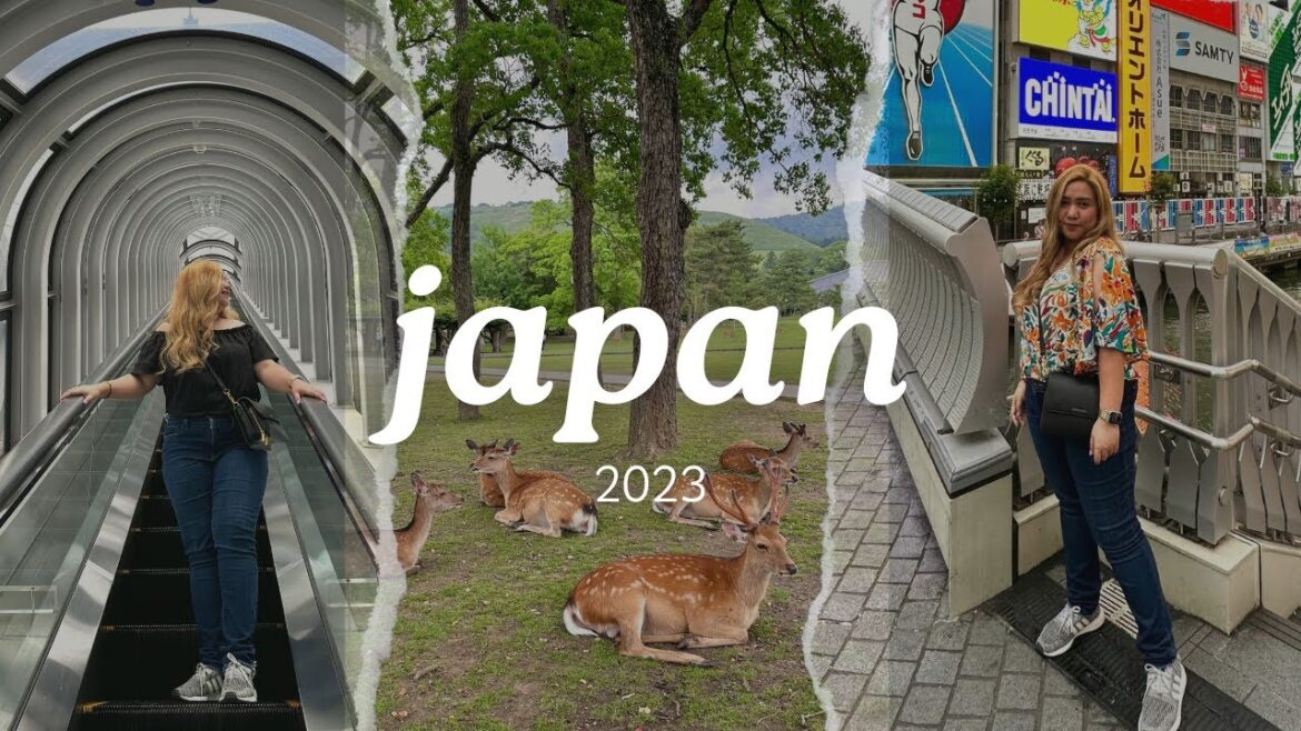 JAPAN DIARIES: Osaka, Kyoto, Nara, Awaji 🇯🇵 | Angel Cabaron