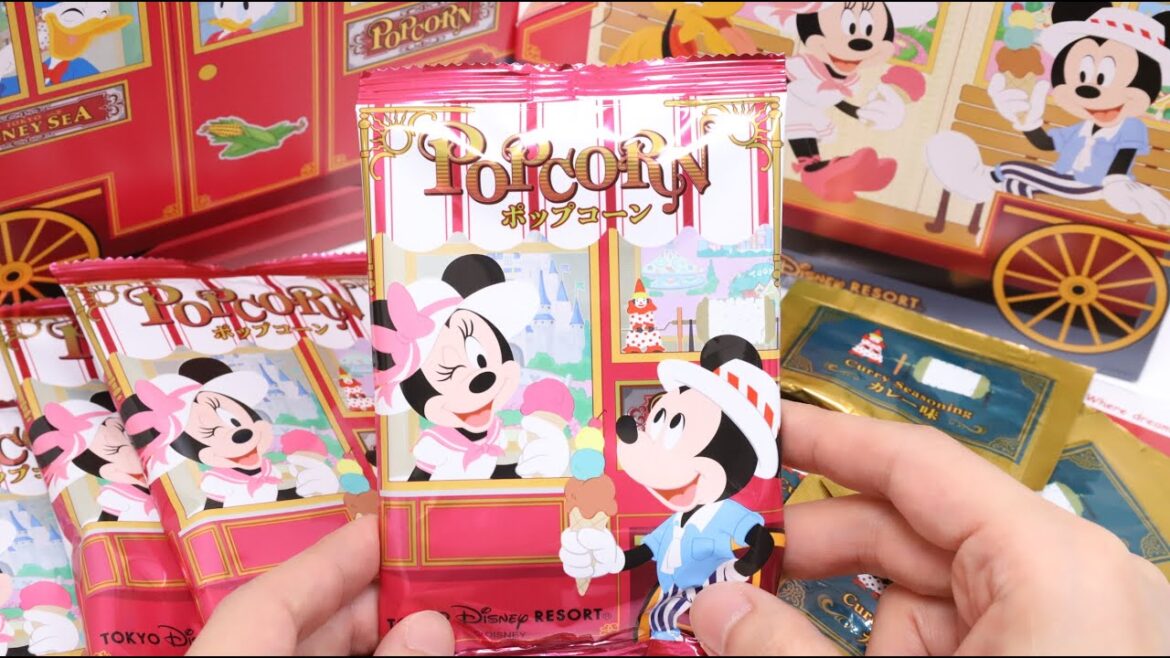 Disney Popcorn Kit Tokyo Disneyland Souvenir Disney Popcorn Kit Tokyo Disneyland Souvenir