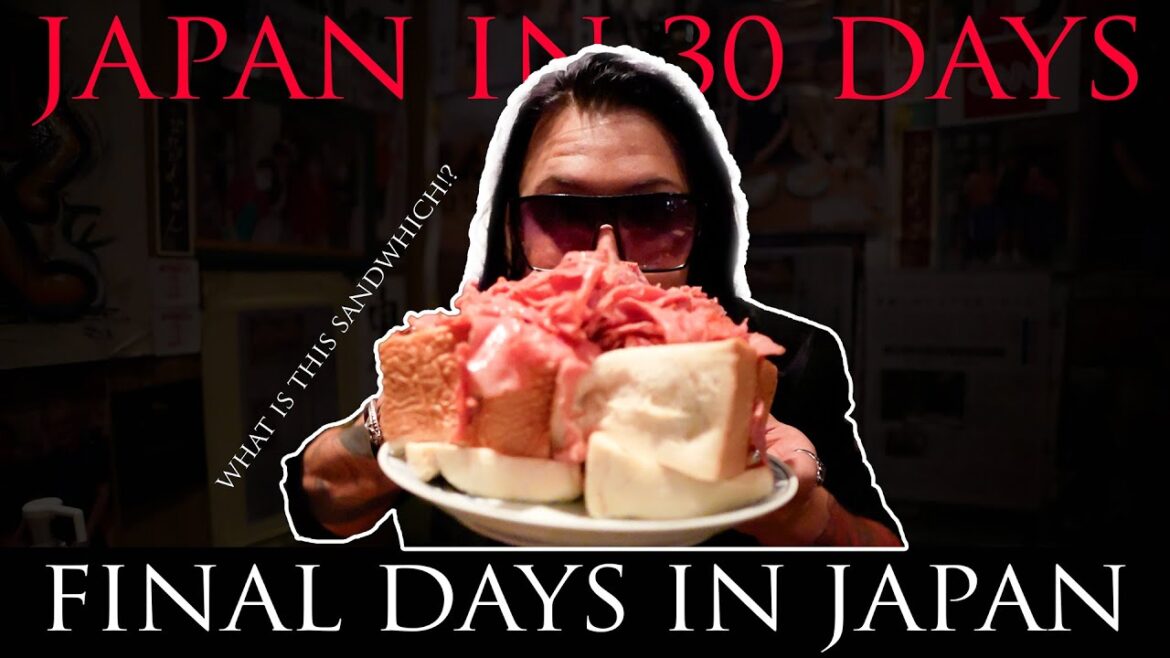 Travel vlog Japan 2024 - Japan in 30 days - WHAT IS THIS SANDWHICH?!
