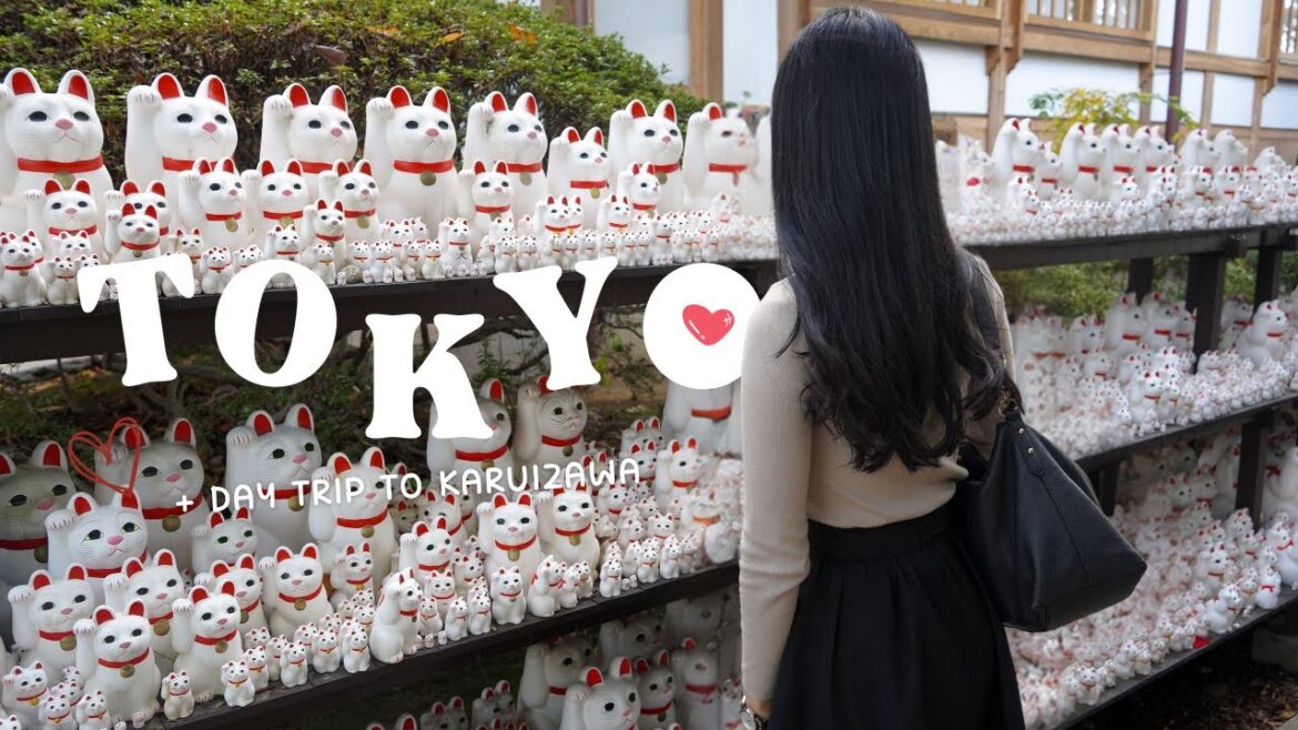 🇯🇵 3 days in Tokyo | day trip to karuizawa, cat temple, omakase, pancakes, yakiniku, outlet shopping 🇯🇵 3 days in Tokyo | day trip to karuizawa, cat temple, omakase, pancakes, yakiniku, outlet shopping