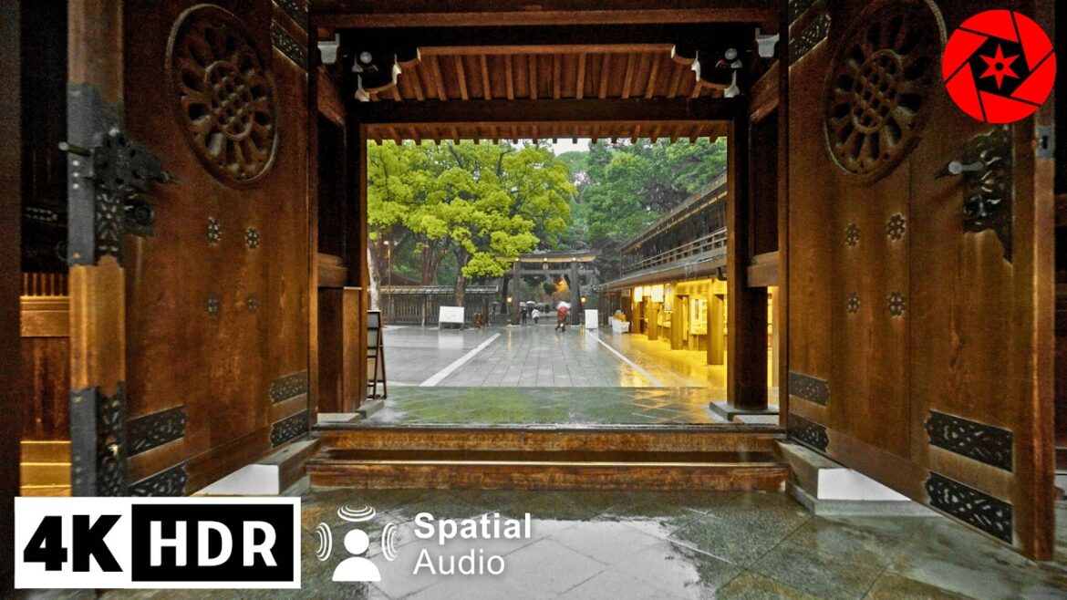 Relaxing Rain Walk in Tokyo's Largest Shrine, Umbrella & Nature Sounds for Sleep and Study
