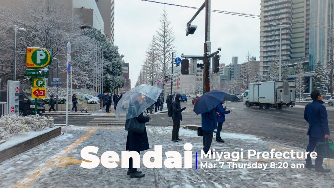 Japan in the SNOW – Walking Tour of Sendai, Miyagi Japan in the SNOW - Walking Tour of Sendai, Miyagi