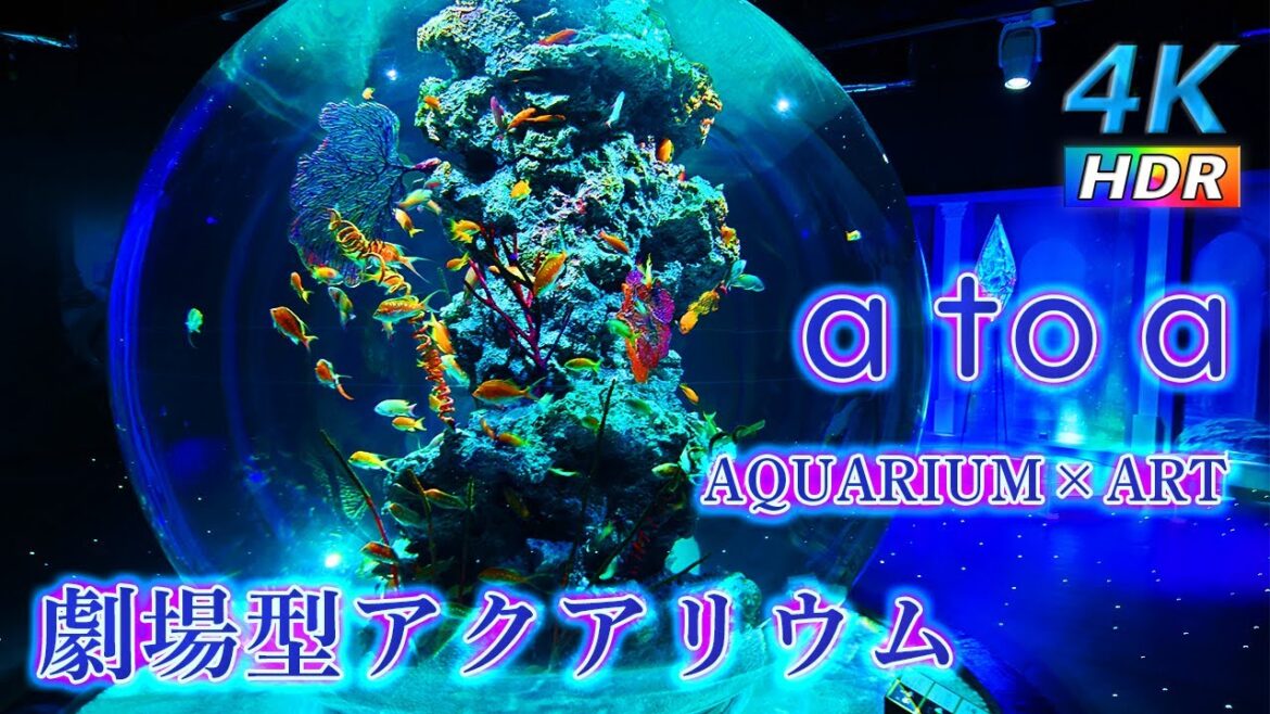 【4K HDR】 アトア – アクアリウム to アート – atoa AQUARIUM&ART 【4K HDR】 アトア - アクアリウム to アート - atoa AQUARIUM&ART