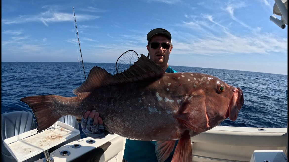 The LUCKIEST Red Grouper Catch You Will EVER See on YouTube!! Catch, Clean & Cook The LUCKIEST Red Grouper Catch You Will EVER See on YouTube!! *Catch, Clean & Cook*
