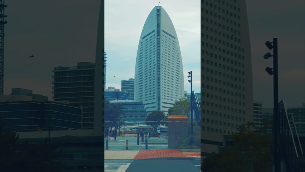 #beautiful #travel place in #tokyojapan  #yokohama.    #srilankan