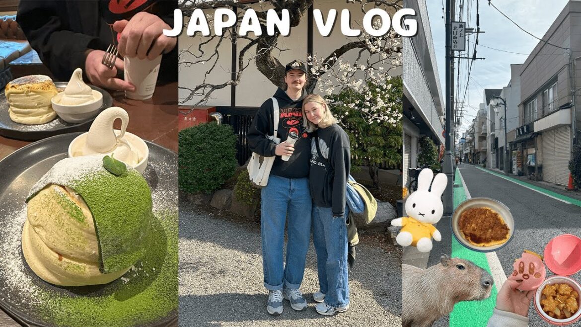 JAPAN VLOG 🍥 | kirby café, pokémon centers, yummy food, stationary shopping & more! JAPAN VLOG 🍥 | kirby café, pokémon centers, yummy food, stationary shopping & more!