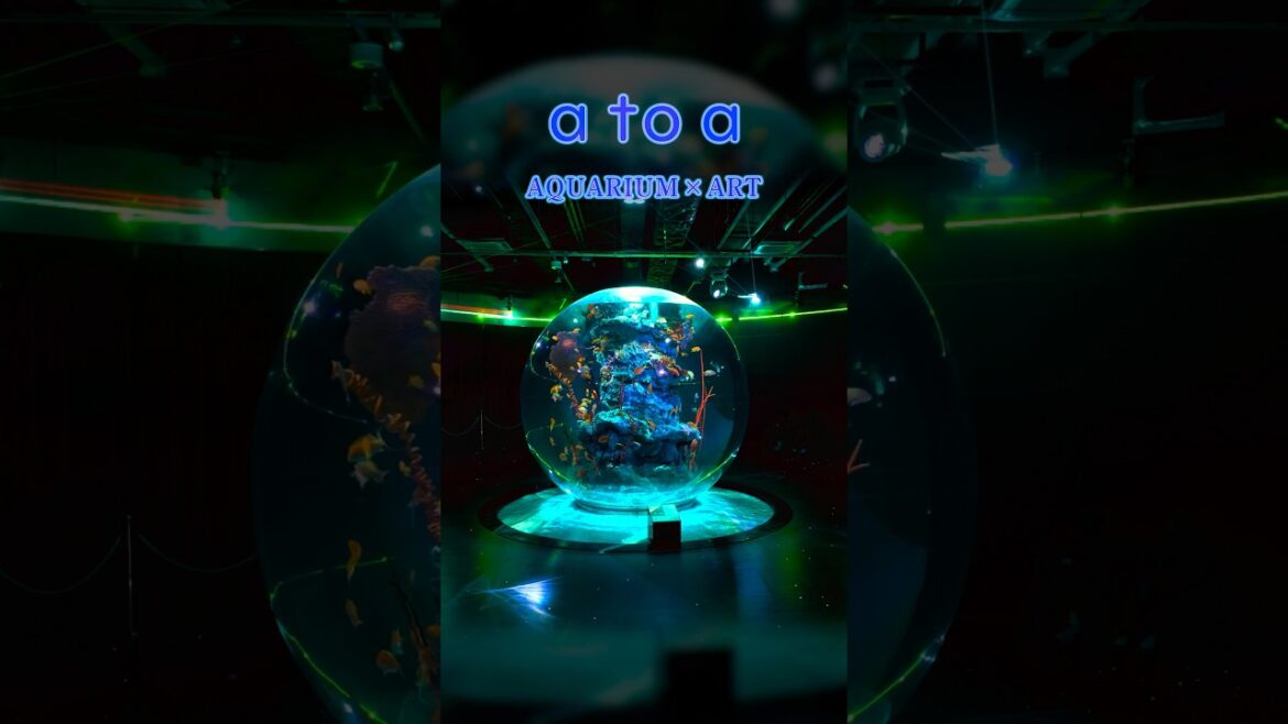 劇場型アクアリウム・アトア 劇場型アクアリウム・アトア