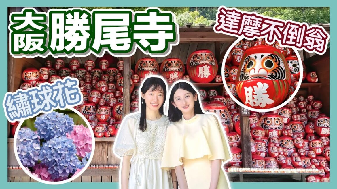 大阪箕面1300年歷史「勝尾寺」！成千上萬達摩不倒翁＆3,600株繡球花海｜日本旅遊｜大阪箕面市｜梅雨季景點｜日本自由行｜日本好好玩第３期