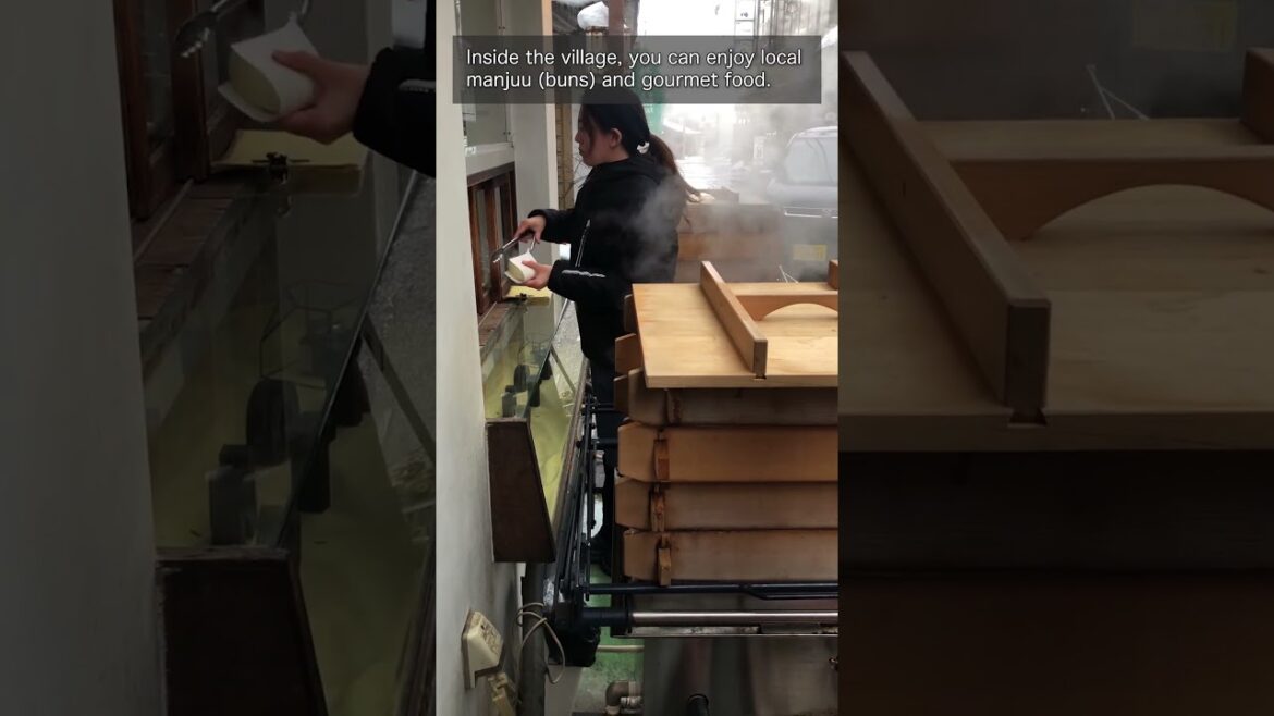 nozawa onsen ♨️ #japantravel