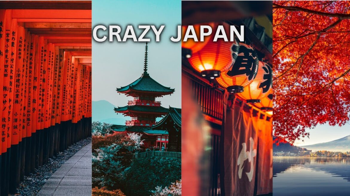 japan solo travel tokyo vlog osaka castle 2024 japan solo travel tokyo vlog osaka castle 2024