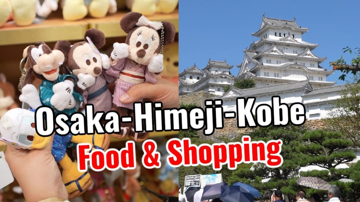 Japan Vlog | Disney & Sanrio Store 2024