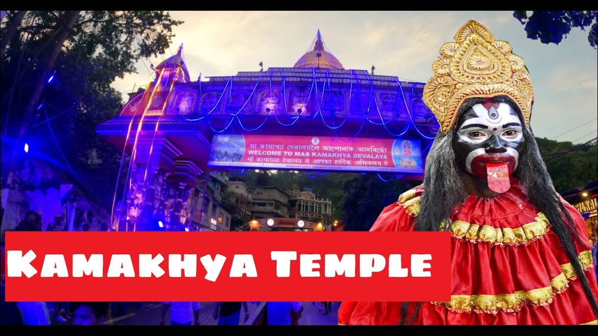 The Ambubachi Mela 2023 || अंबुबाची मेला 2023 || #kamakhyatemple #maakamakhya || Kamakhya Temple ||