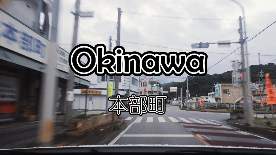 Driving Tour | Motobu Dawn