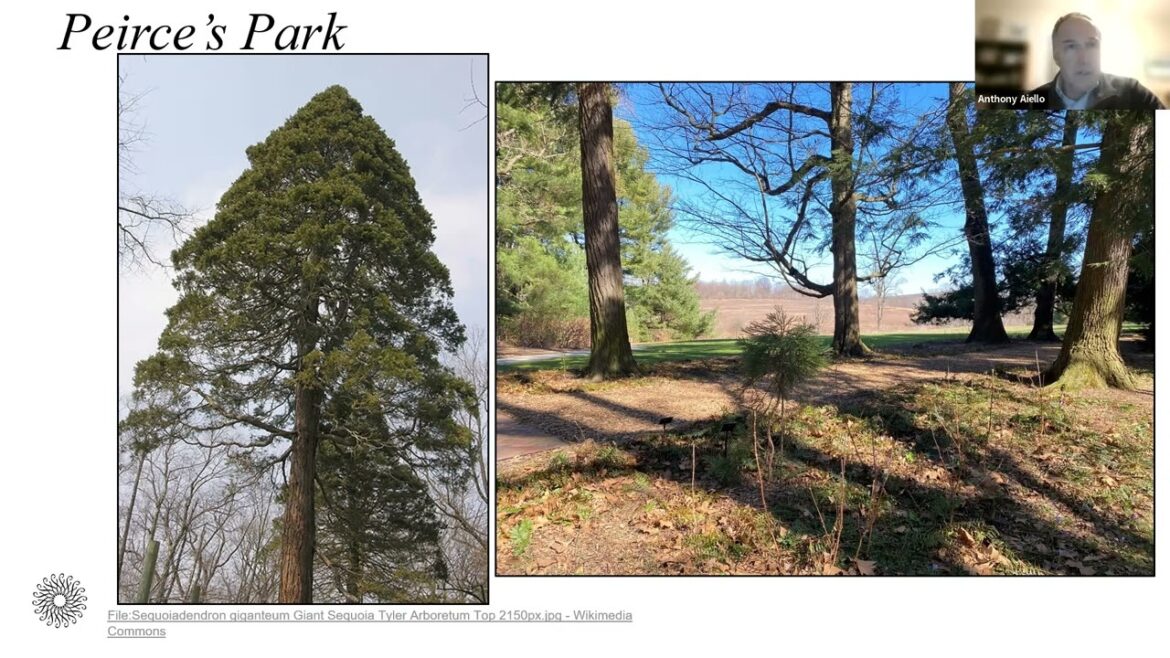 Our Living Collections Our Living Collections