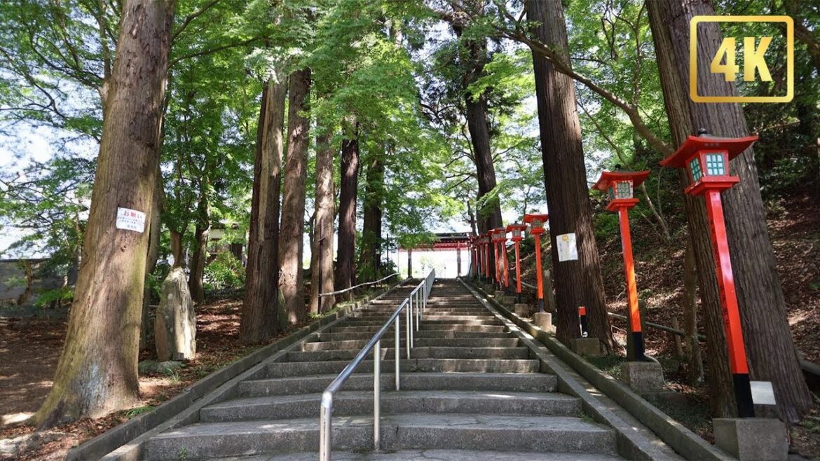 Walk day in Hirayama Chiba Japan 4K