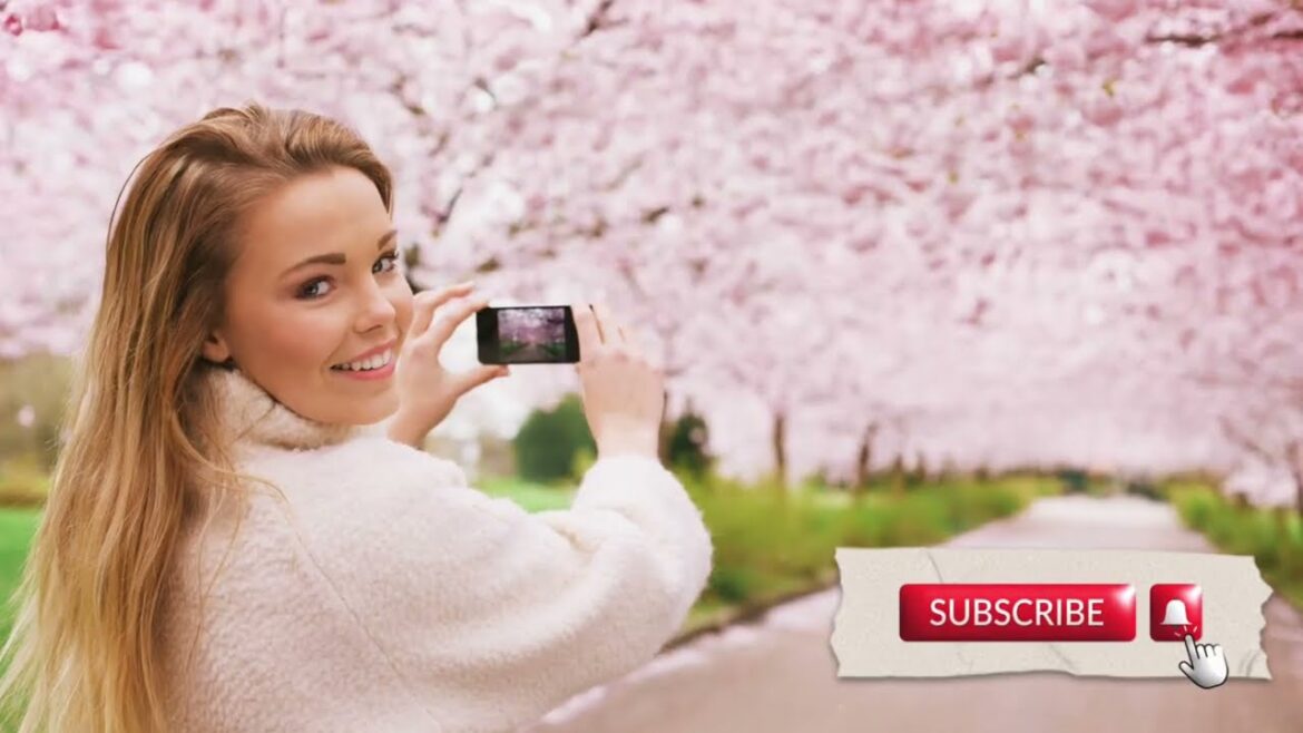 Spring Delight: Top 10 Sakura Destinations in Japan