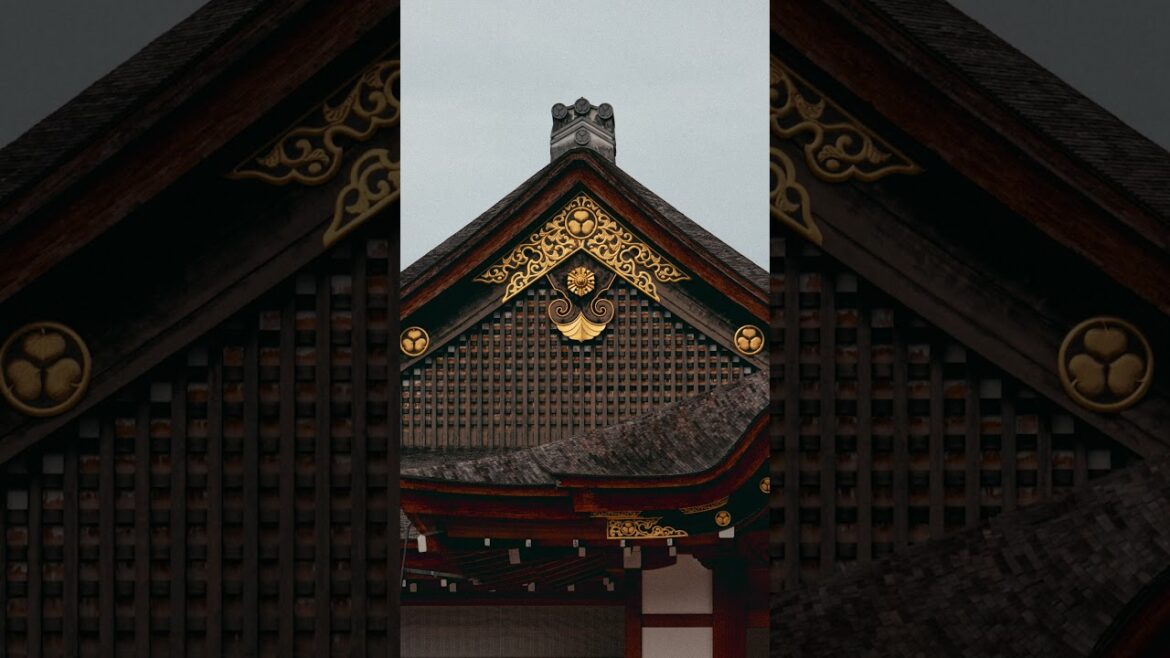 You need to see these places in Nagoya! #japan #travel #japantravel #shorts