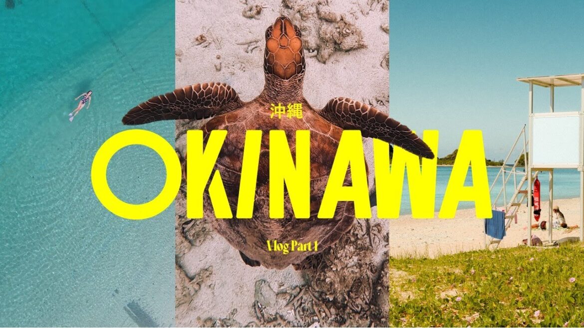 OKINAWA, el otro Japón – Vlog y guía 5 días en Okinawa – Itinerario 17 días en Japón Parte 2 OKINAWA, el otro Japón - Vlog y guía 5 días en Okinawa - Itinerario 17 días en Japón Parte 2