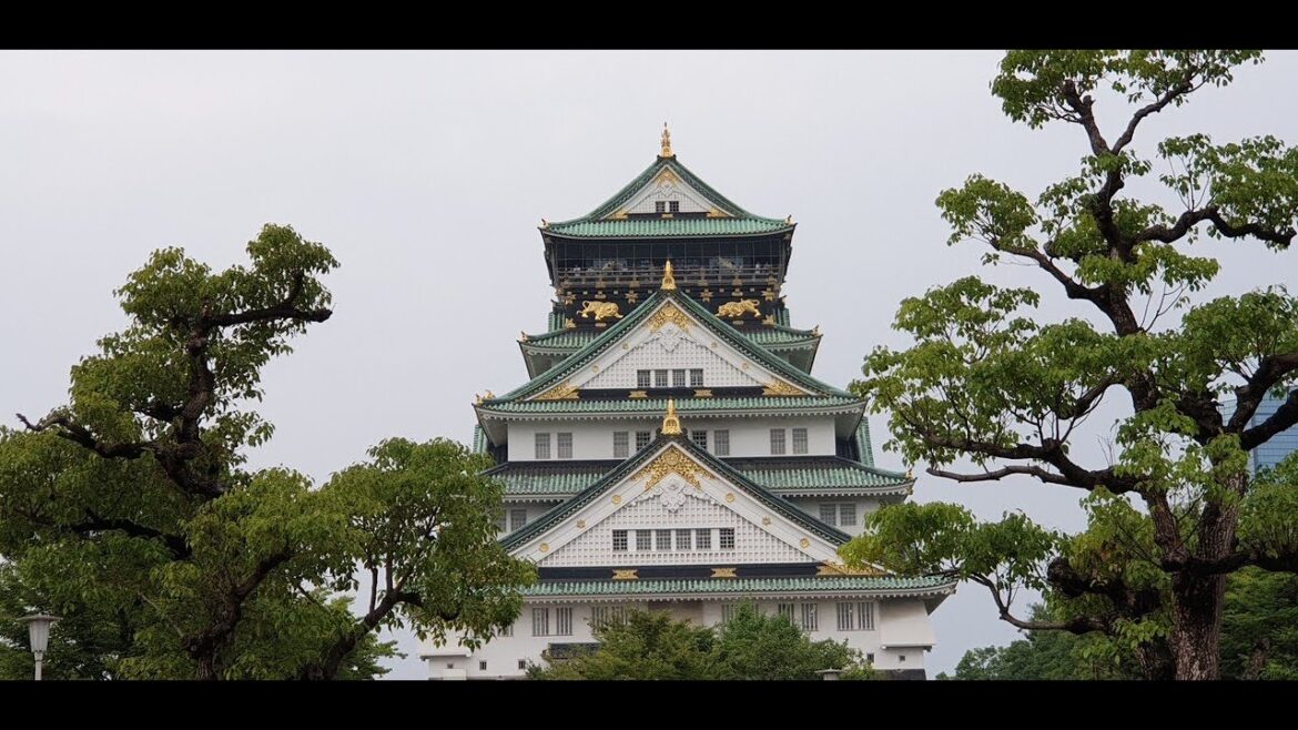 Du lịch Nhật Bản : thưởng thức thịt bò Kobe chế biến kiểu bít-tết nổi tiếng thế giới tại OSAKA