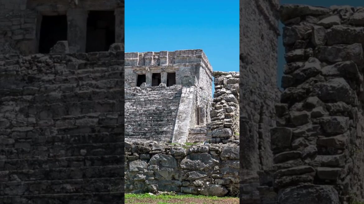 Discovering Mexico A Voyage Through History, Culture, and Cuisine